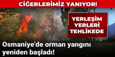 cigerlerimiz-yaniyor-osmaniyede-orman-yangini-yeniden-basladi-sEQYleOK.jpg