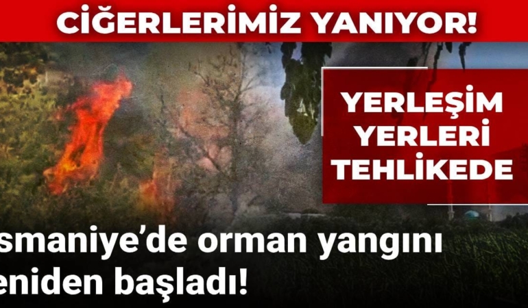 Ciğerlerimiz yanıyor! Osmaniye’de orman yangını yeniden başladı