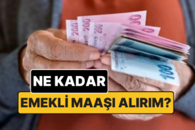 bugun-emekli-olursam-ne-kadar-maas-alirim-iste-e-devlet-uzerinden-4a-4b-ve-4c-tm92CAz1.jpg