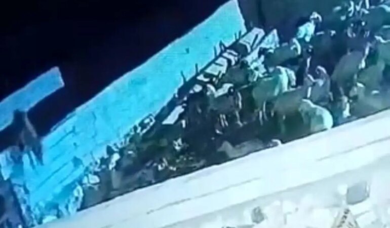 Kurt, Konya’da Ağıla Girip Küçükbaş Hayvanı Telef Etti