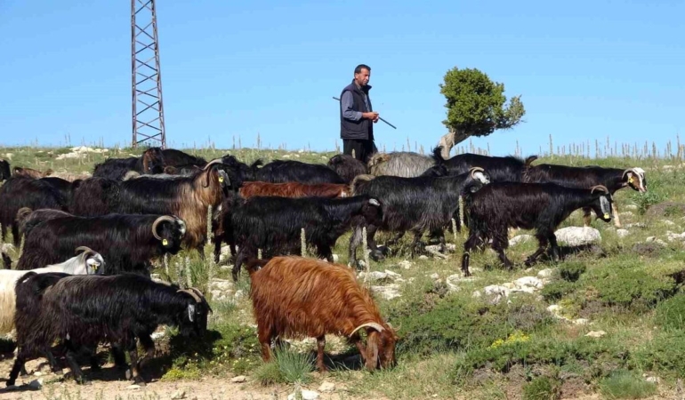 Mersin’de Yörüklerin Bahar Sevinci