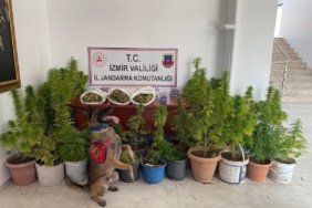 izmirde-uyusturucu-operasyonu-8-kilo-339-gram-kubar-esrar-ve-906-kok-kenevir-ele-Rf8POhRu.jpg